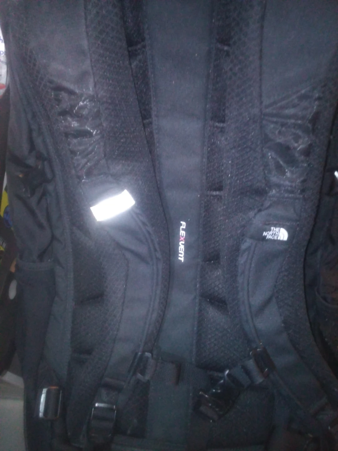 The North Face Backpack - Shake Shack Collaboration - photo 2