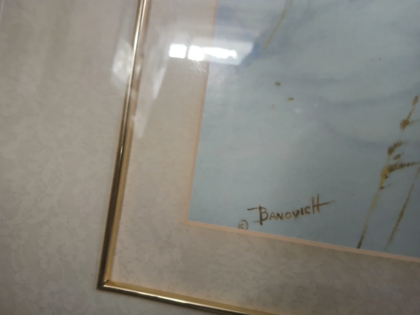 John Banovich - My Three Son"s - photo 2