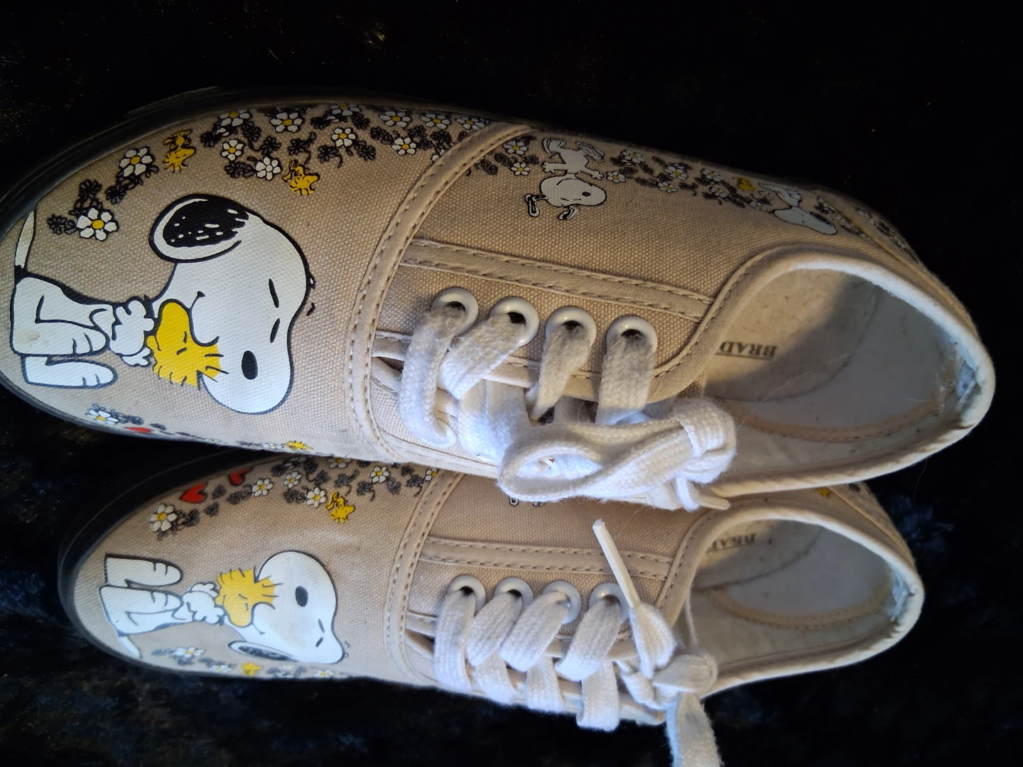 Bradford Exchange Snoopy & Woodstock Canvas Sneakers