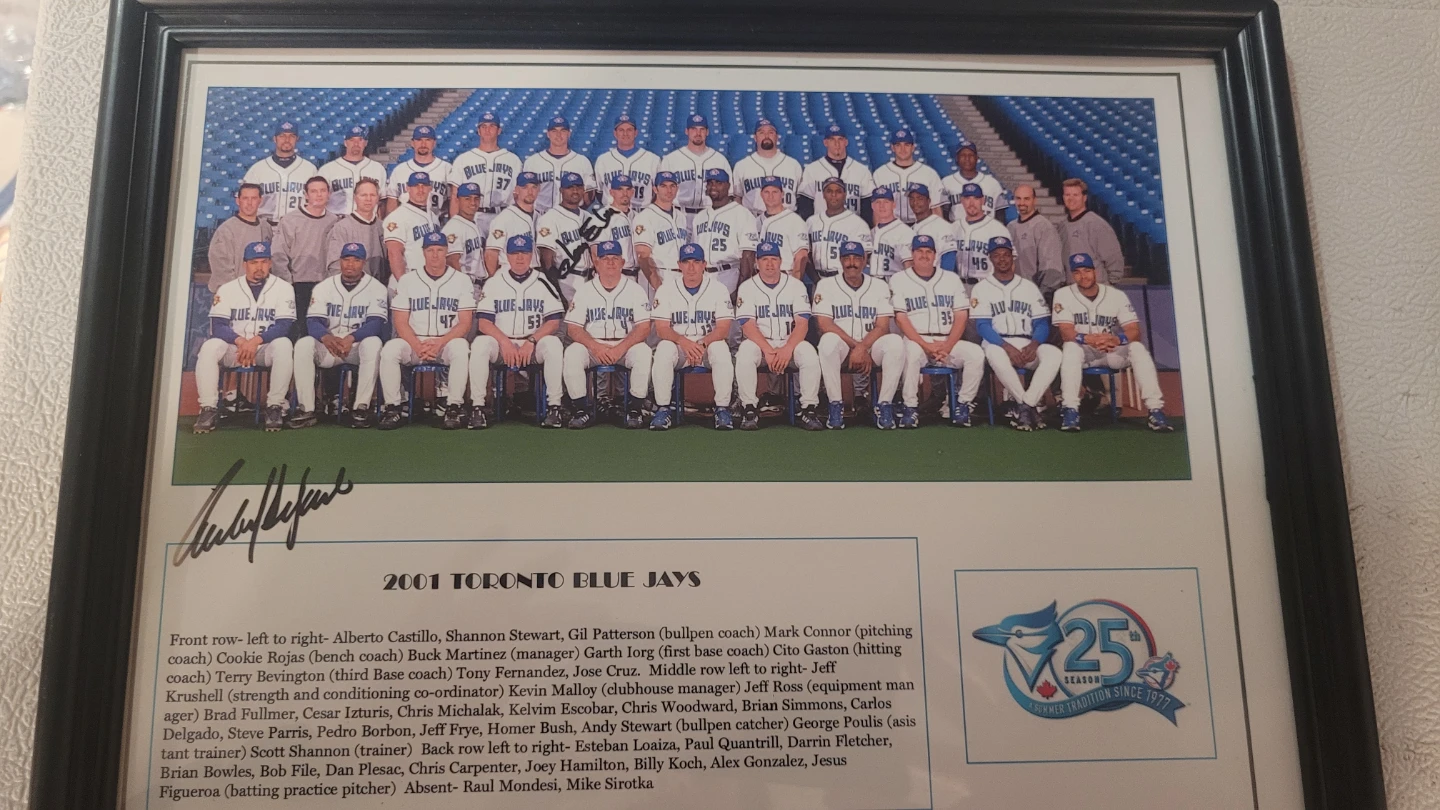 2001 Toronto Blue Jays Team Framed Photo