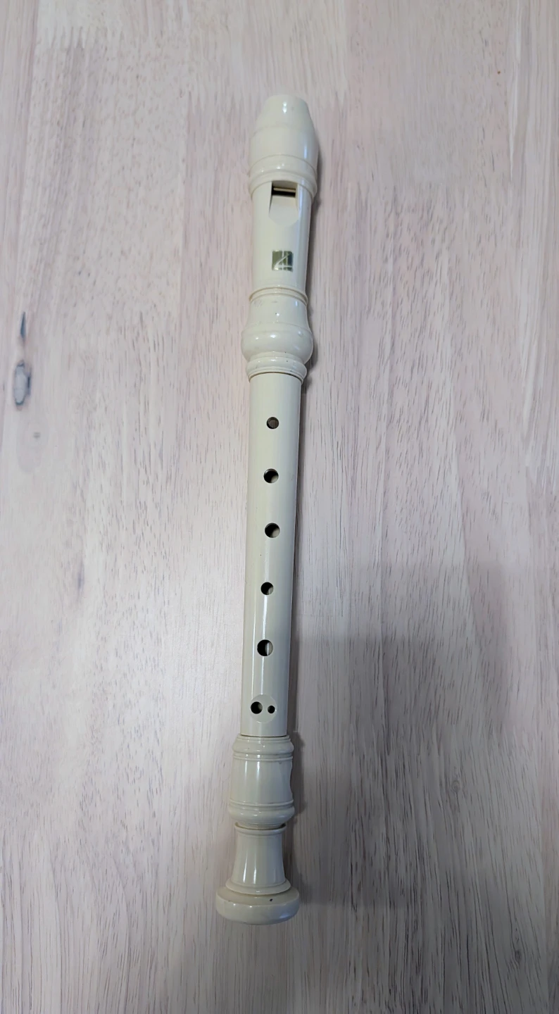 Brand New Recorder Musical Instrument