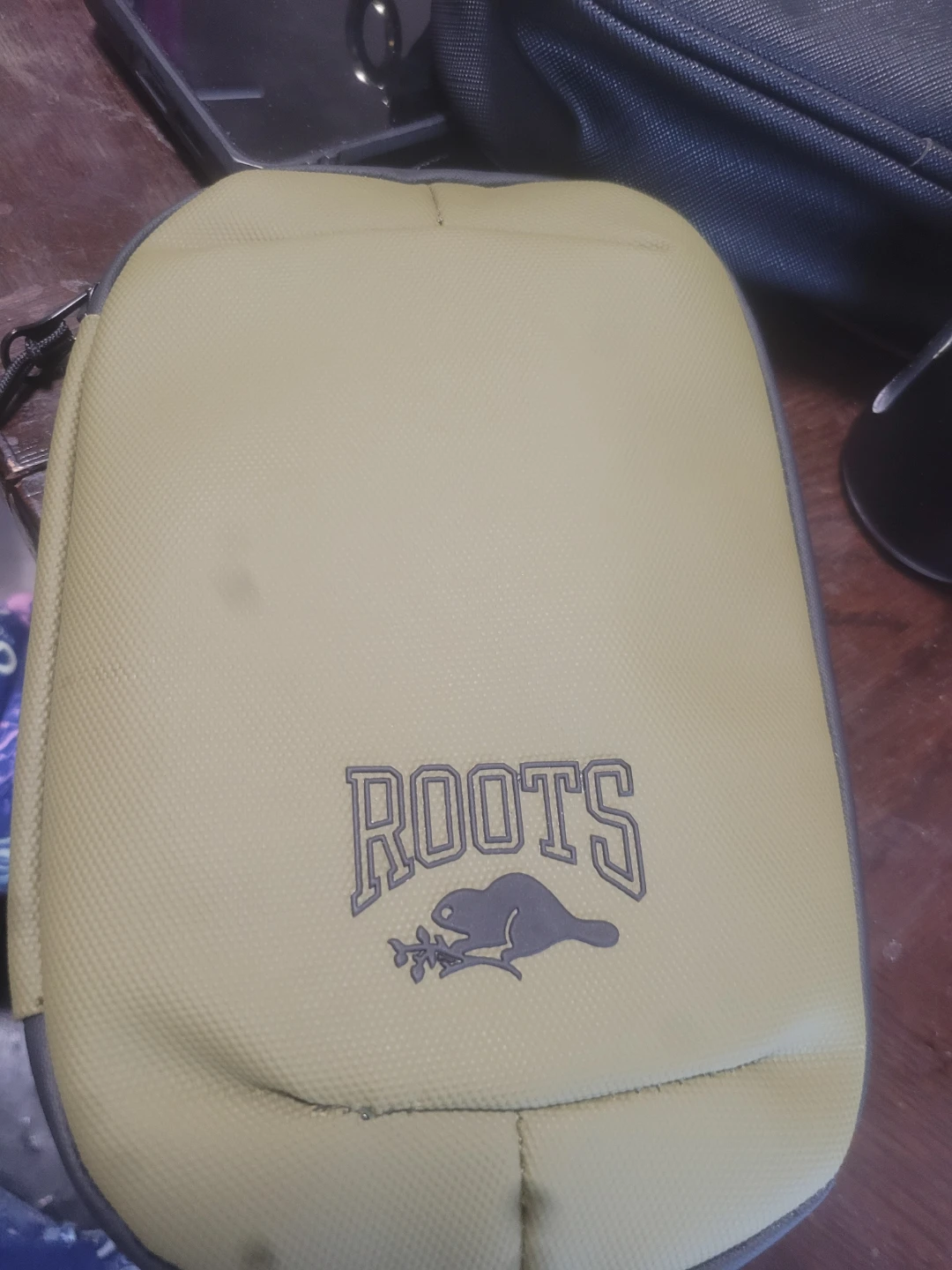 Roots Pouch Organizer