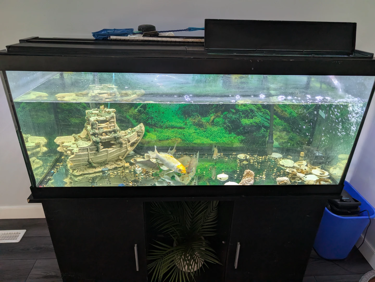 75 Gallon Aquarium with Stand - photo 2