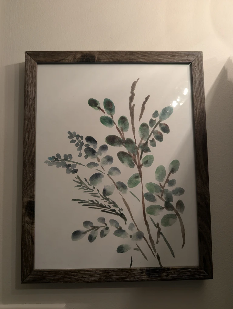 Framed Botanical Prints