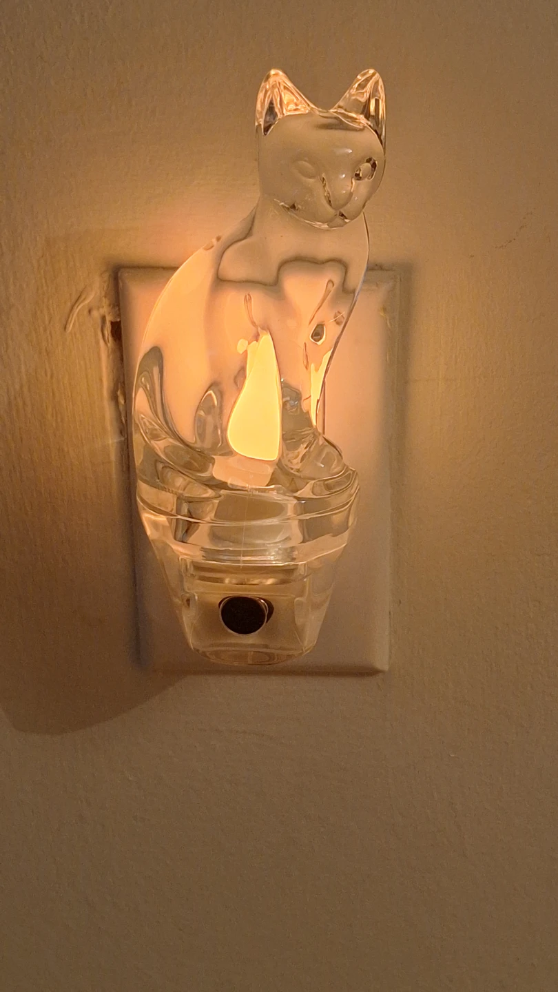 Clear Glass Cat Night Light