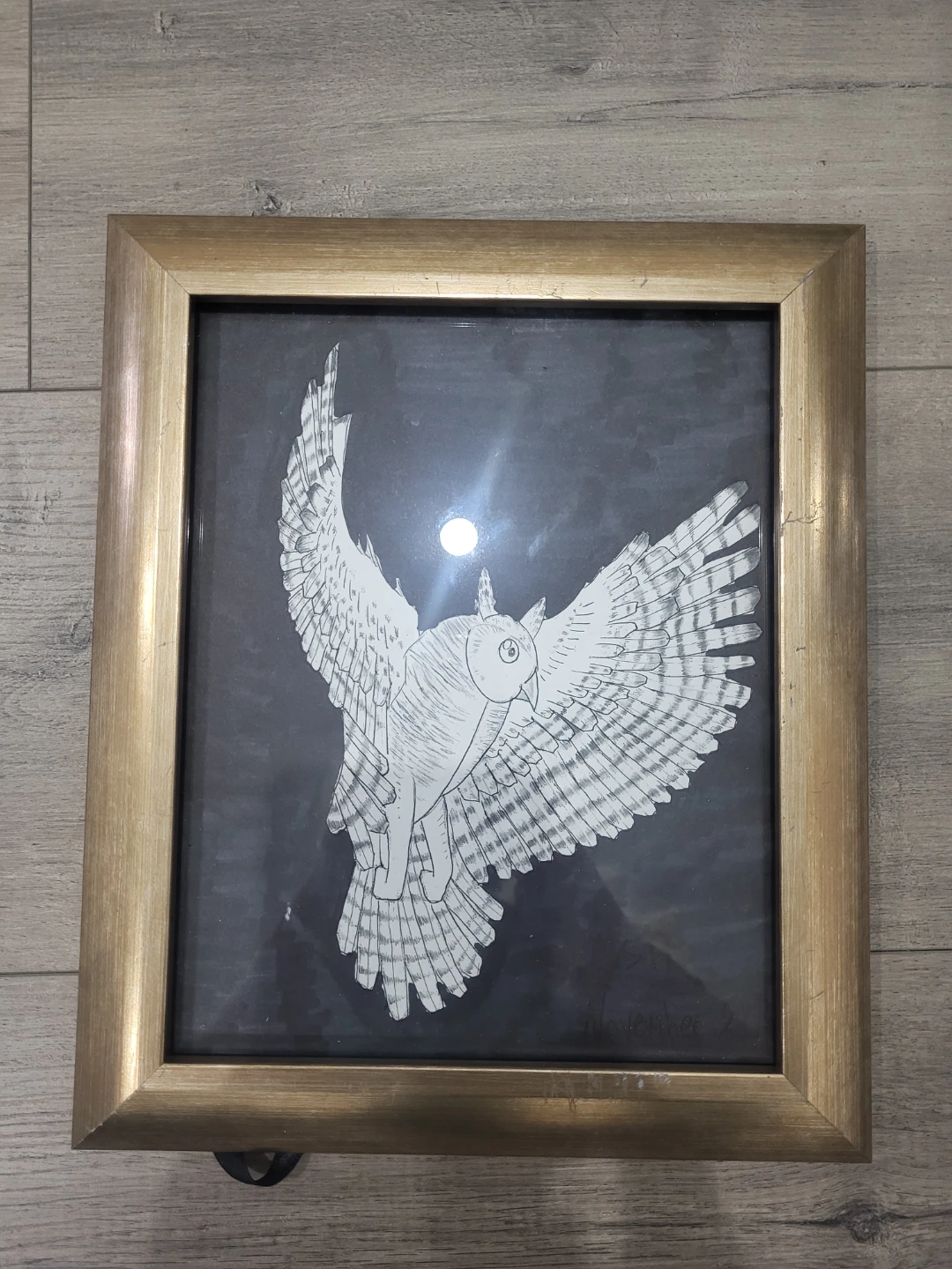 Framed Owl Drawing