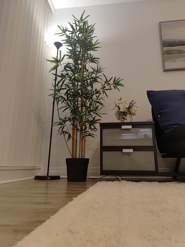 Bamboo tree - photo 4
