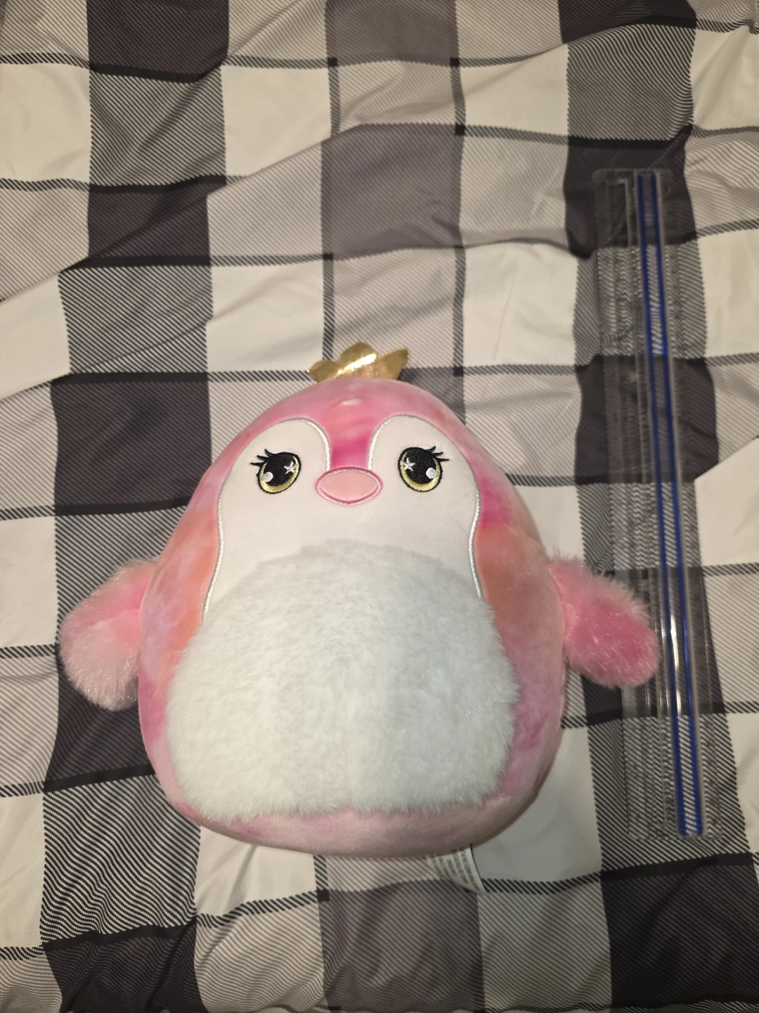 Big squishmallow