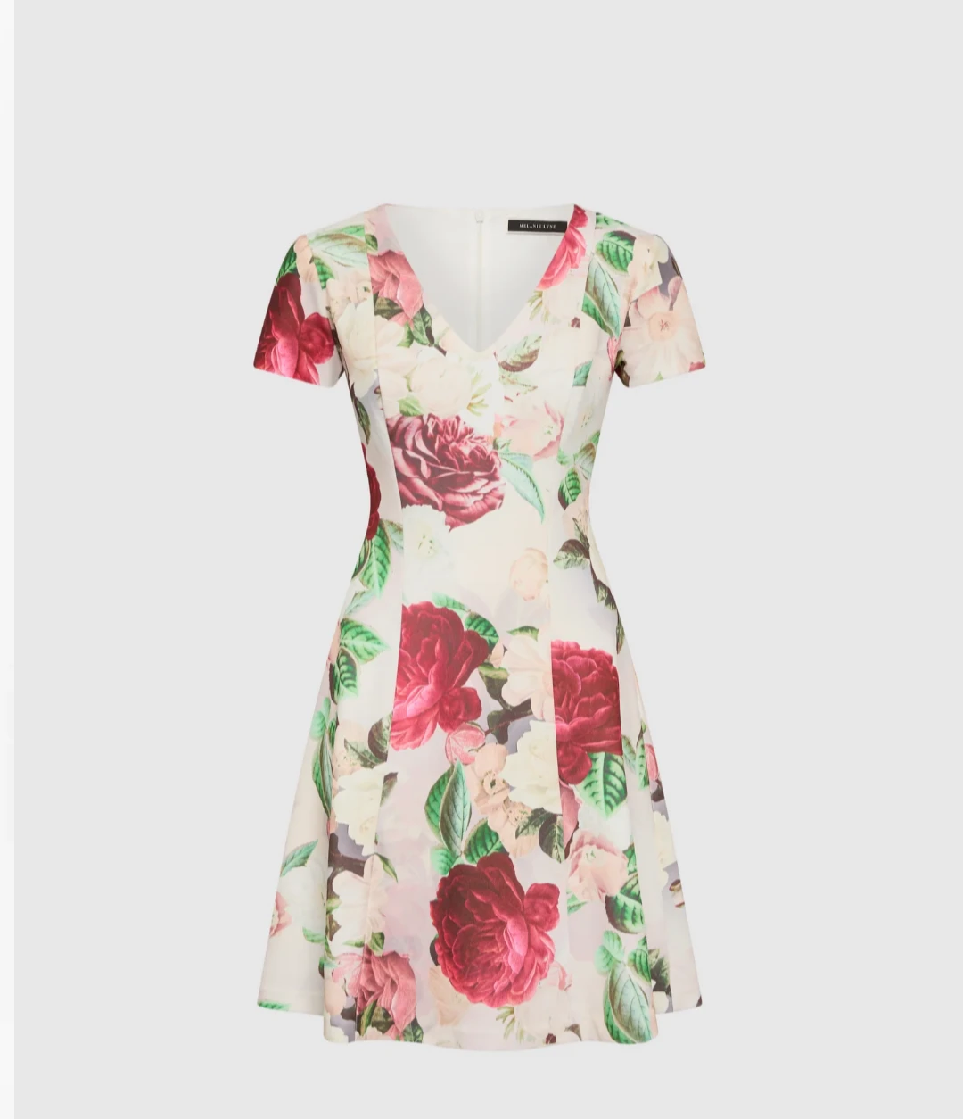 Floral V-Neck Mini Dress for Formal Events