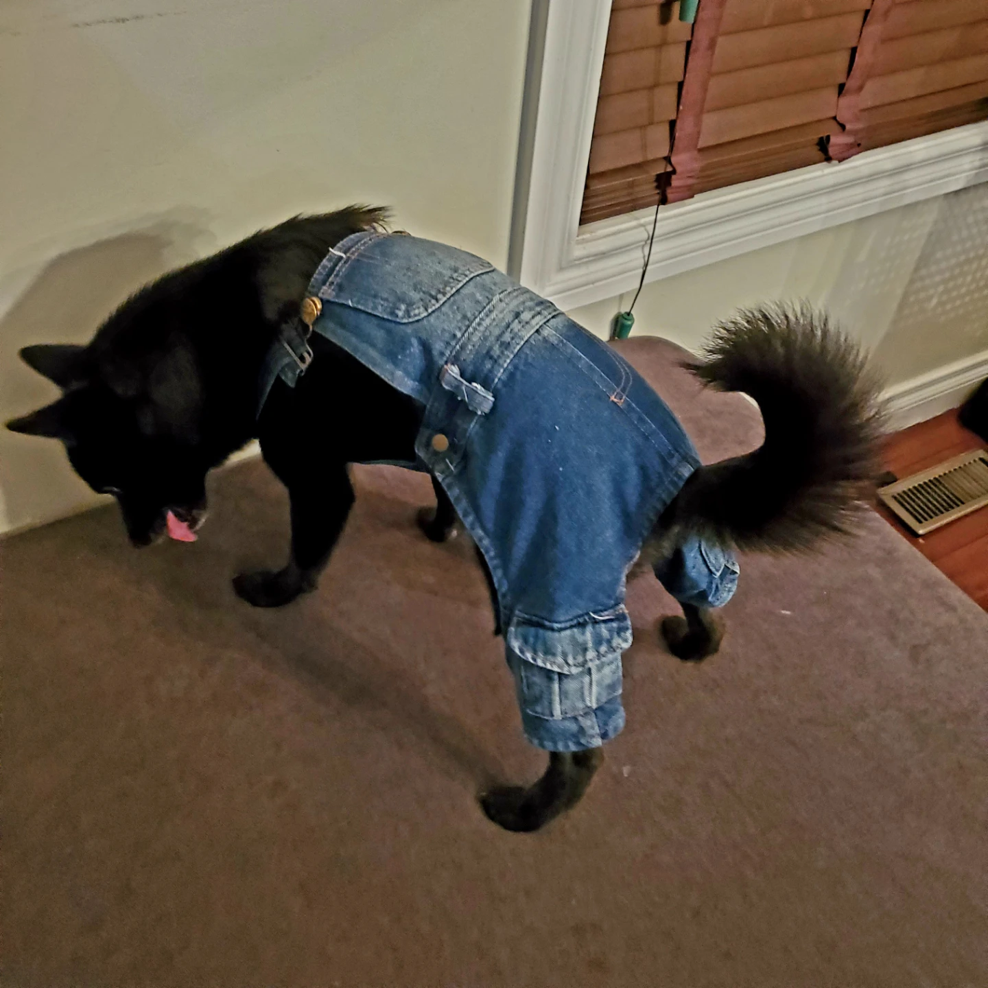 Blue Cargo Jean Denim Dog Overalls Size Medium NEW - photo 5