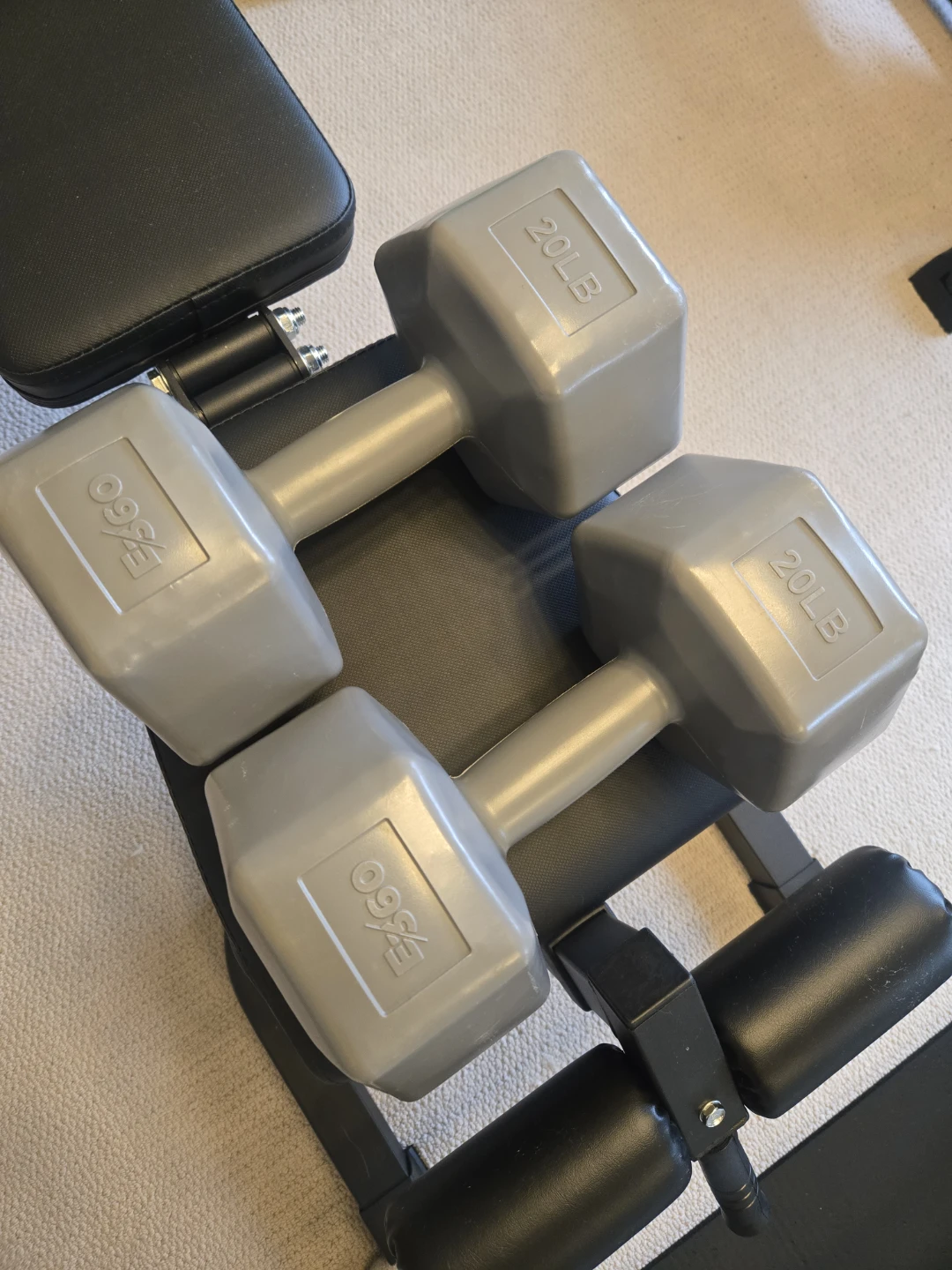 20 lb Dumbbells (Pair)