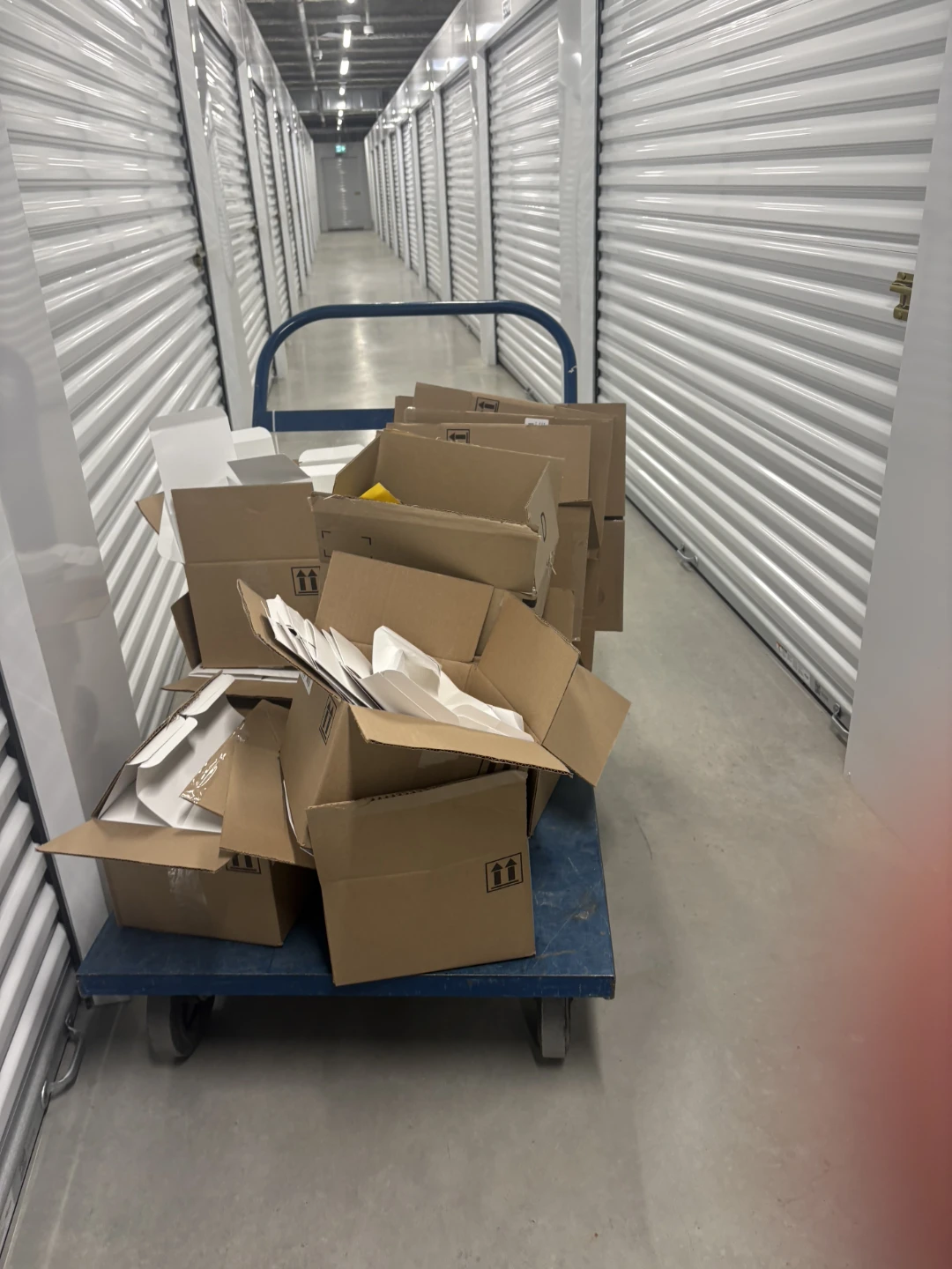 Storage Unit Contents boxes