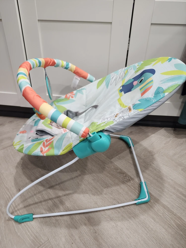 Bright Starts Baby Bouncer Seat with Toucan Design - photo 2