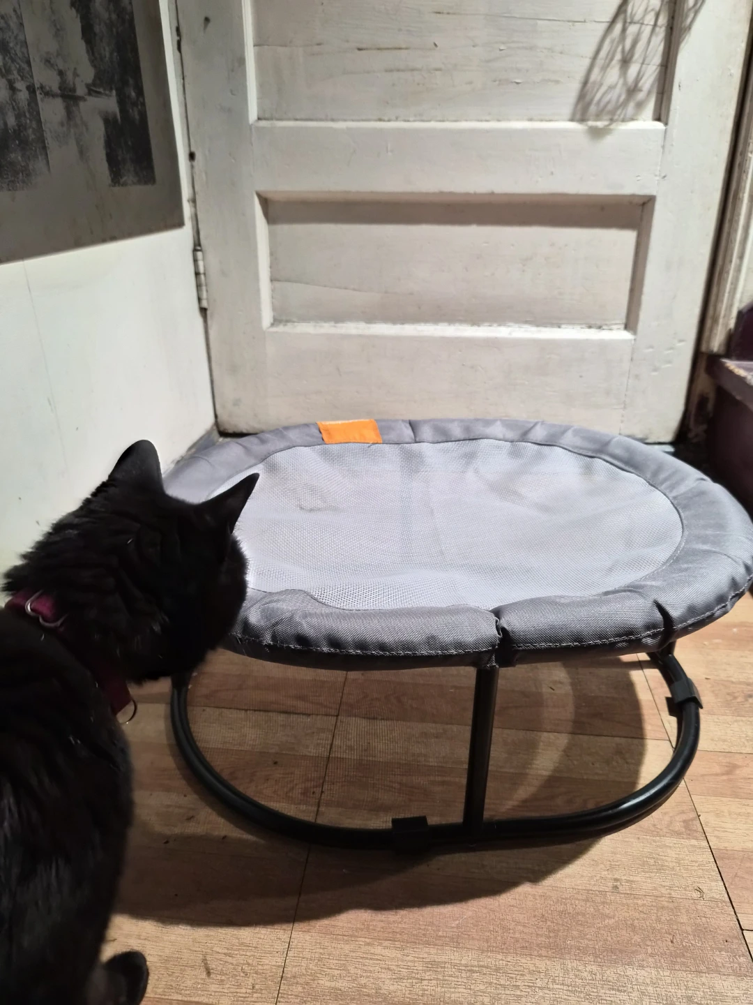 Pet Cot / Elevated Bed - photo 3