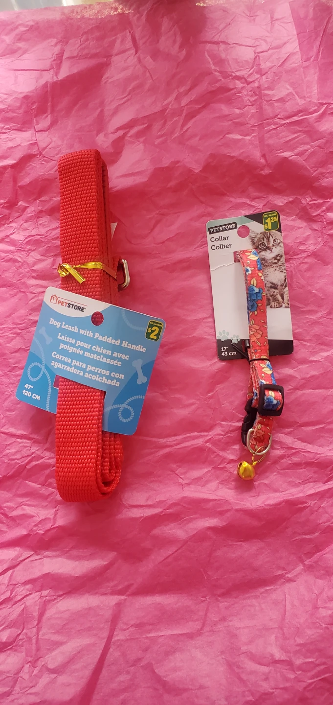 PetStore Dog Leash and Cat Collar