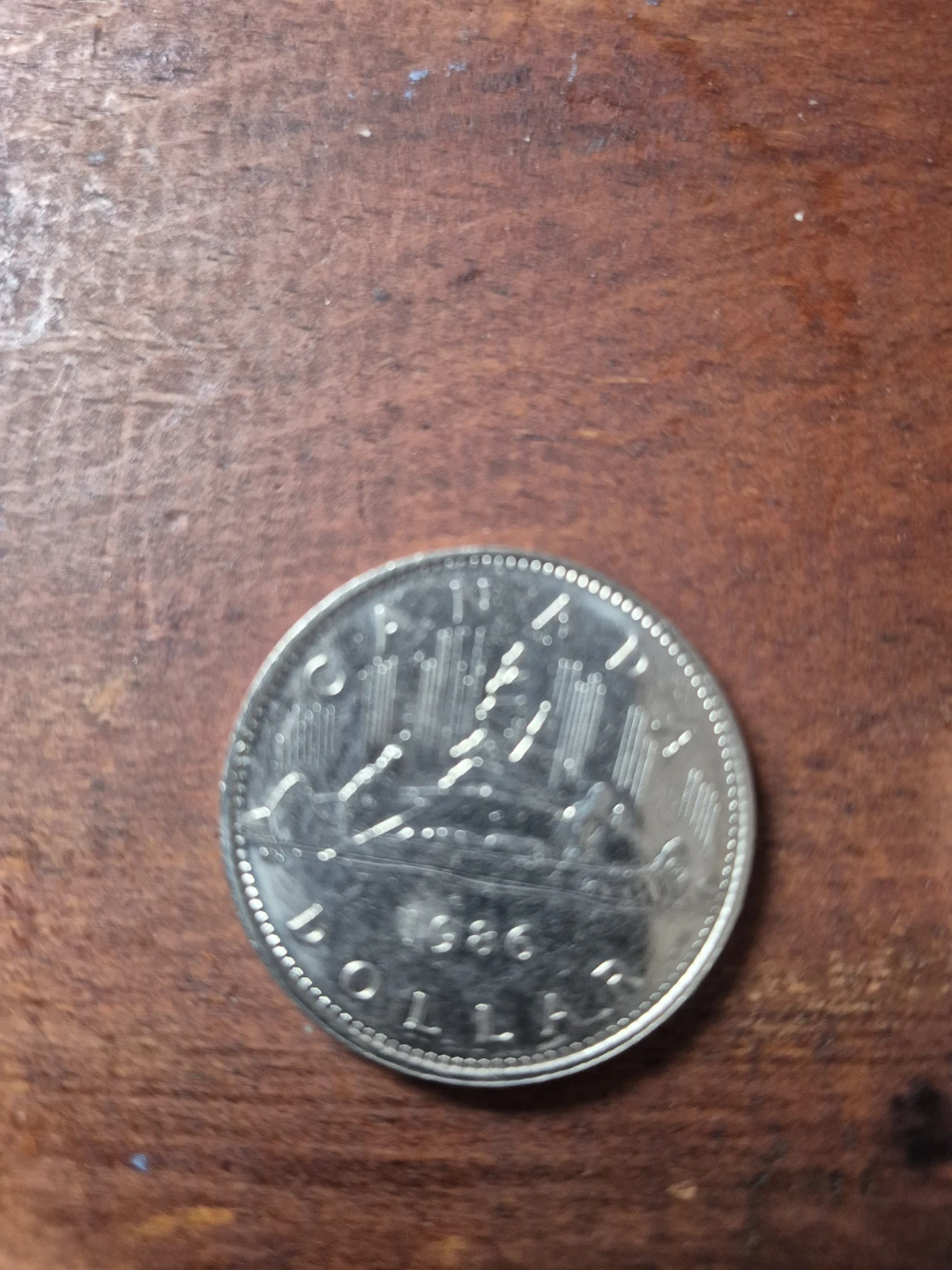$1 Canadian Dollar Coins - photo 3
