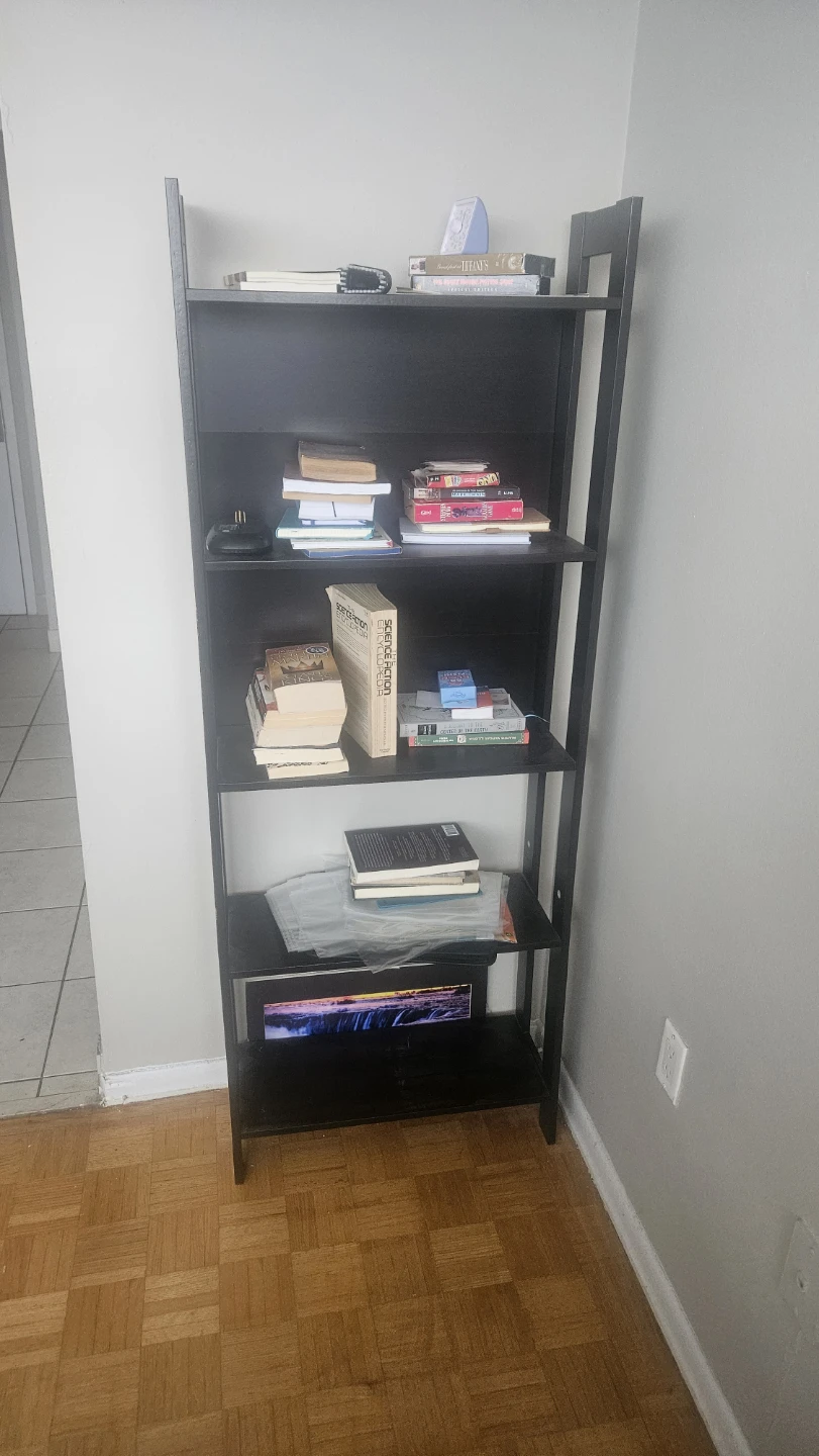 Black Leaning Bookshelf