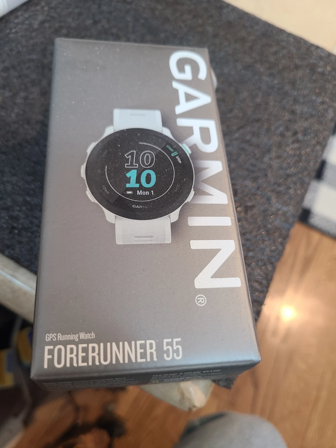 Garmin Forerunner 55 GPS Running Watch