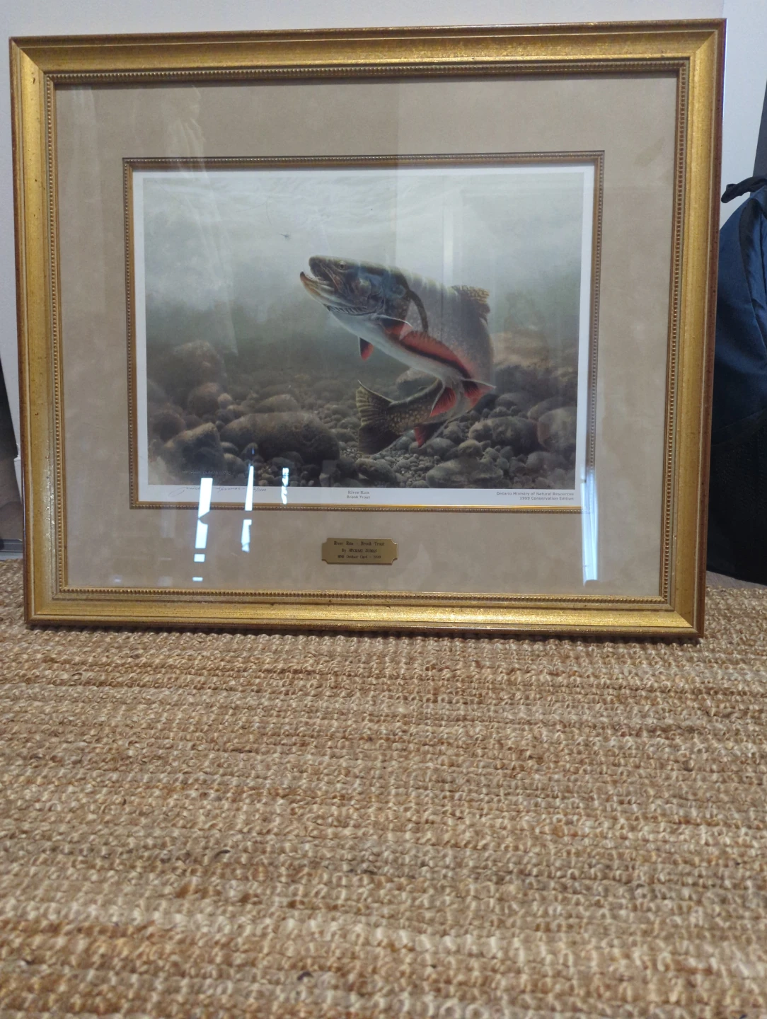 Michael Dumas "River Run Brook Trout"