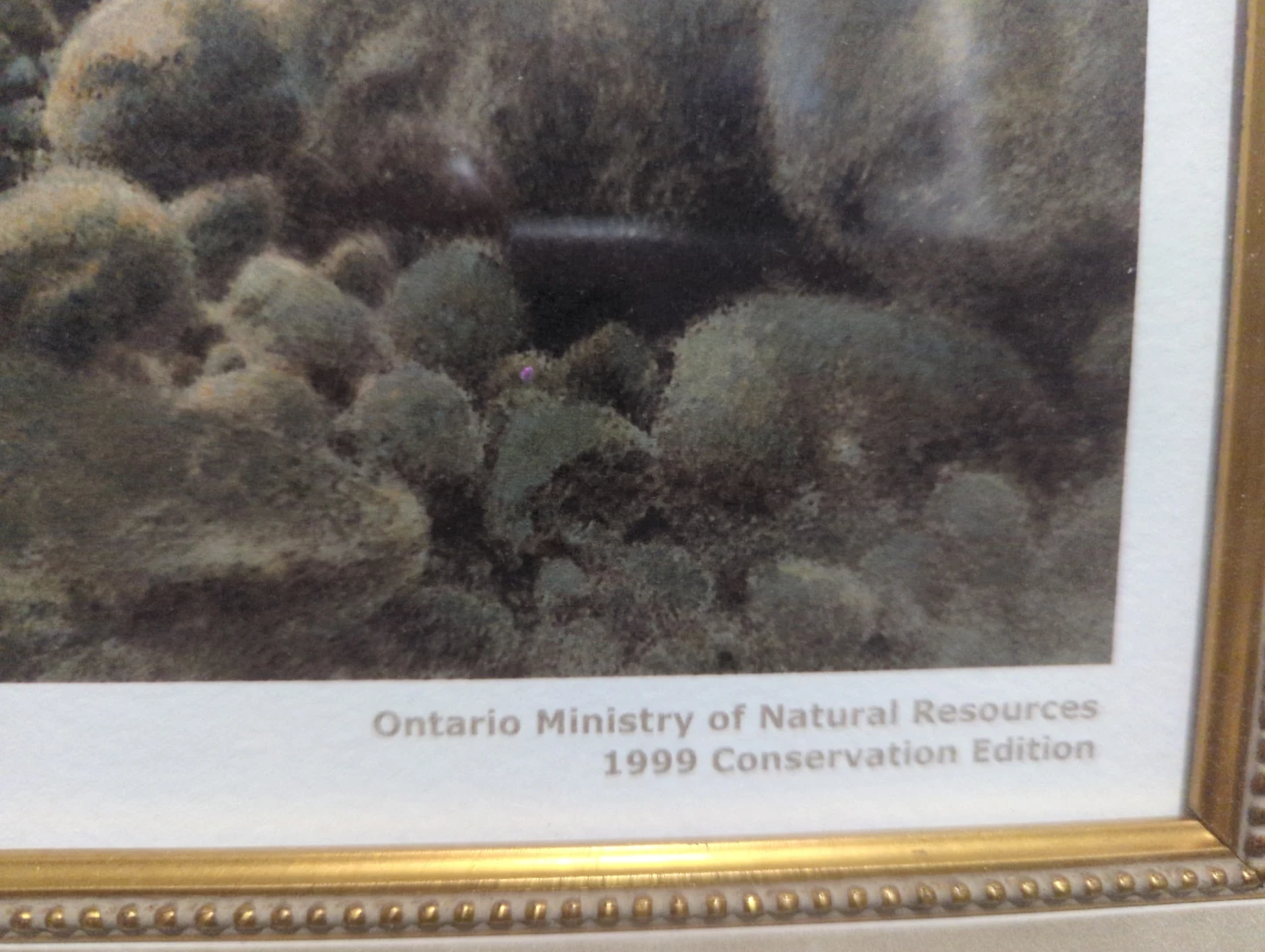 Michael Dumas "River Run Brook Trout" - photo 3