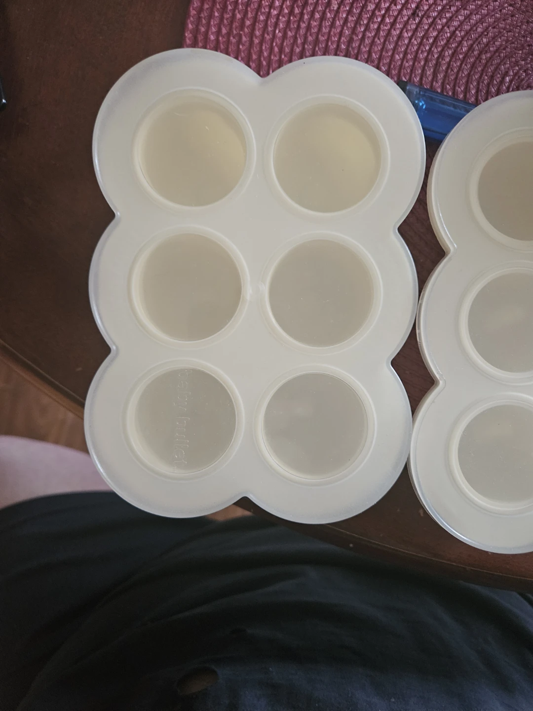 Baby Bullet Food Tray