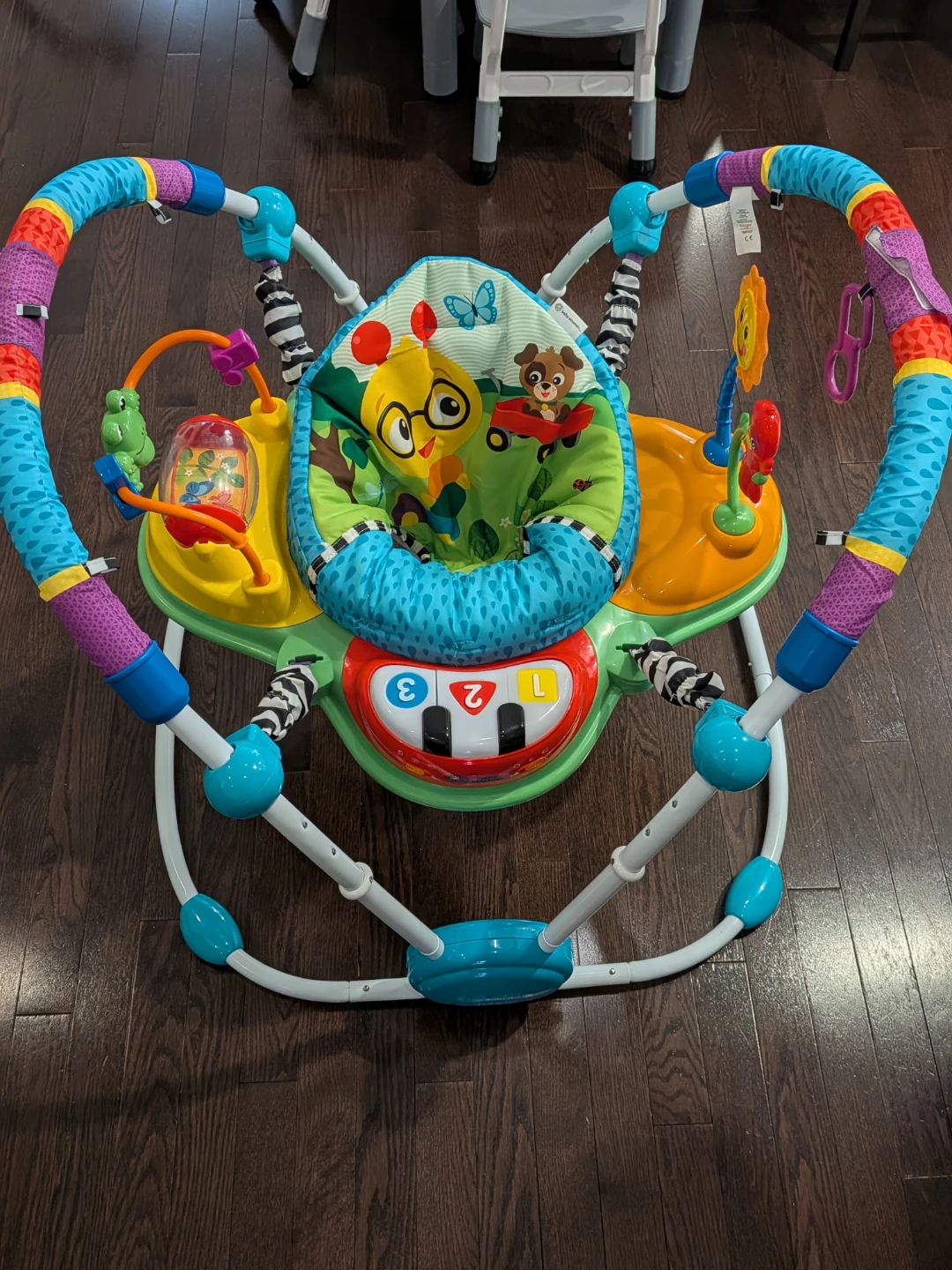 Baby Einstein Neighborhood Friends Activity Jumper - photo 2
