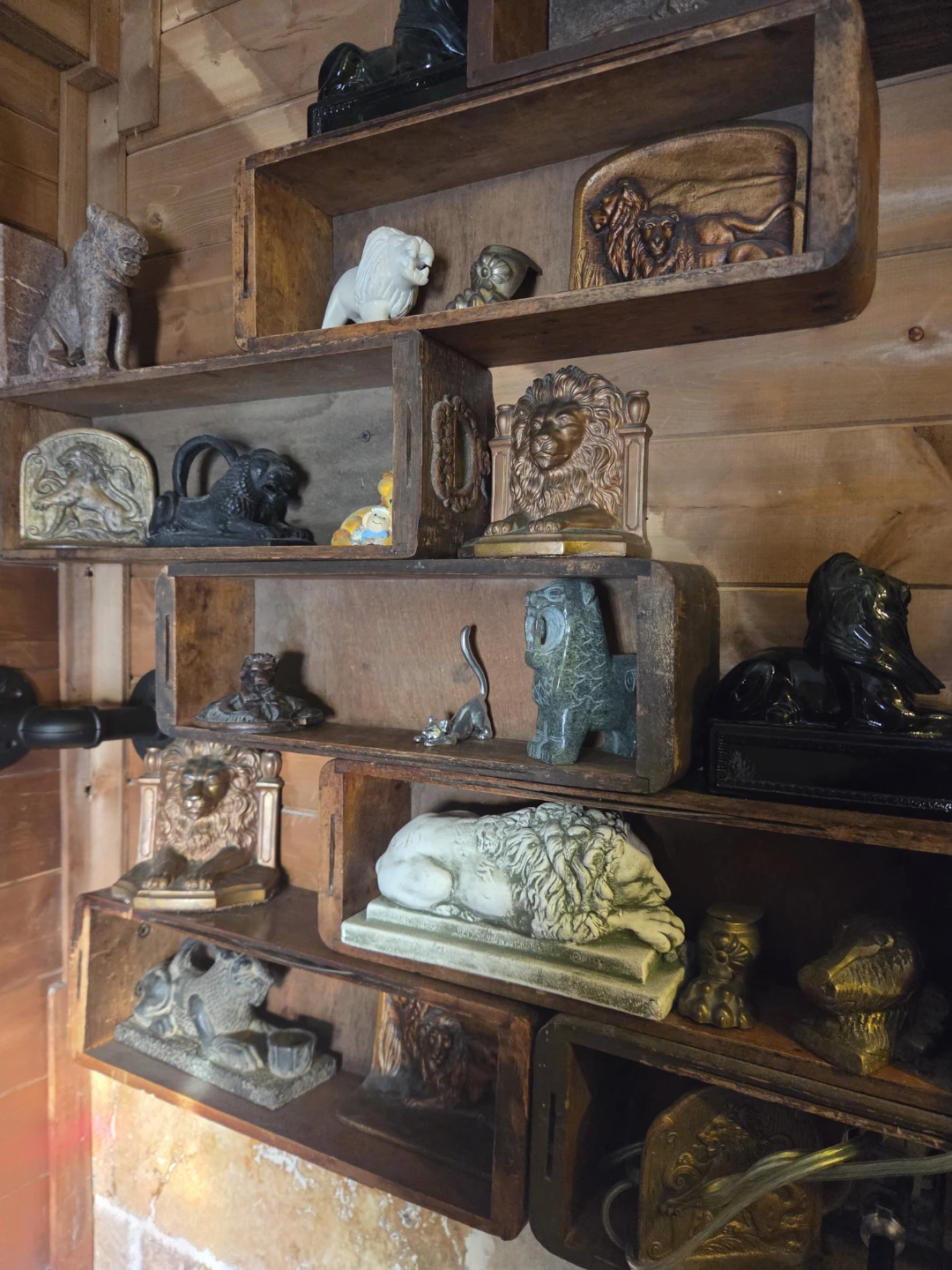 Huge lion jaguar collection for sale