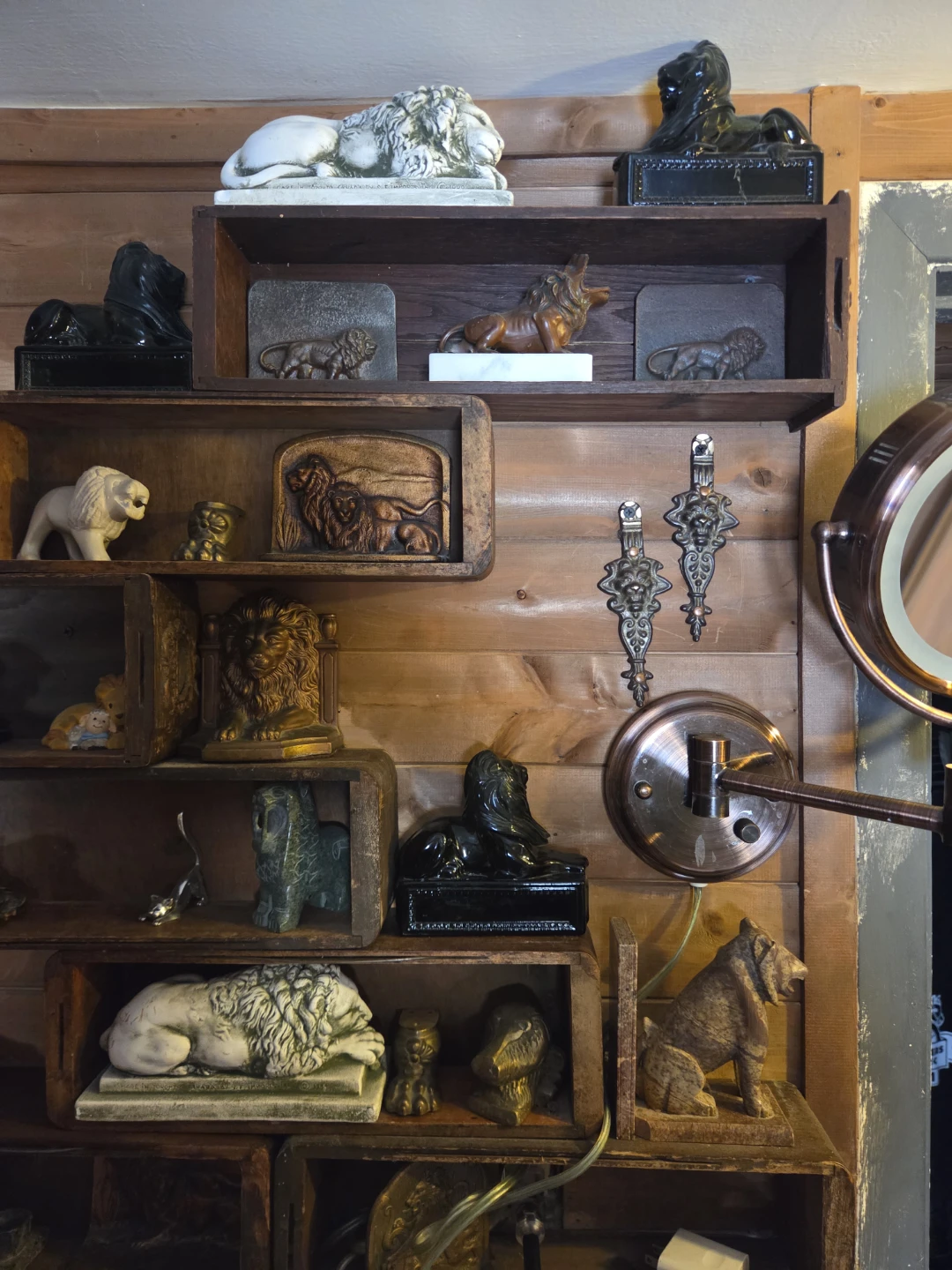 Huge lion jaguar collection for sale - photo 3