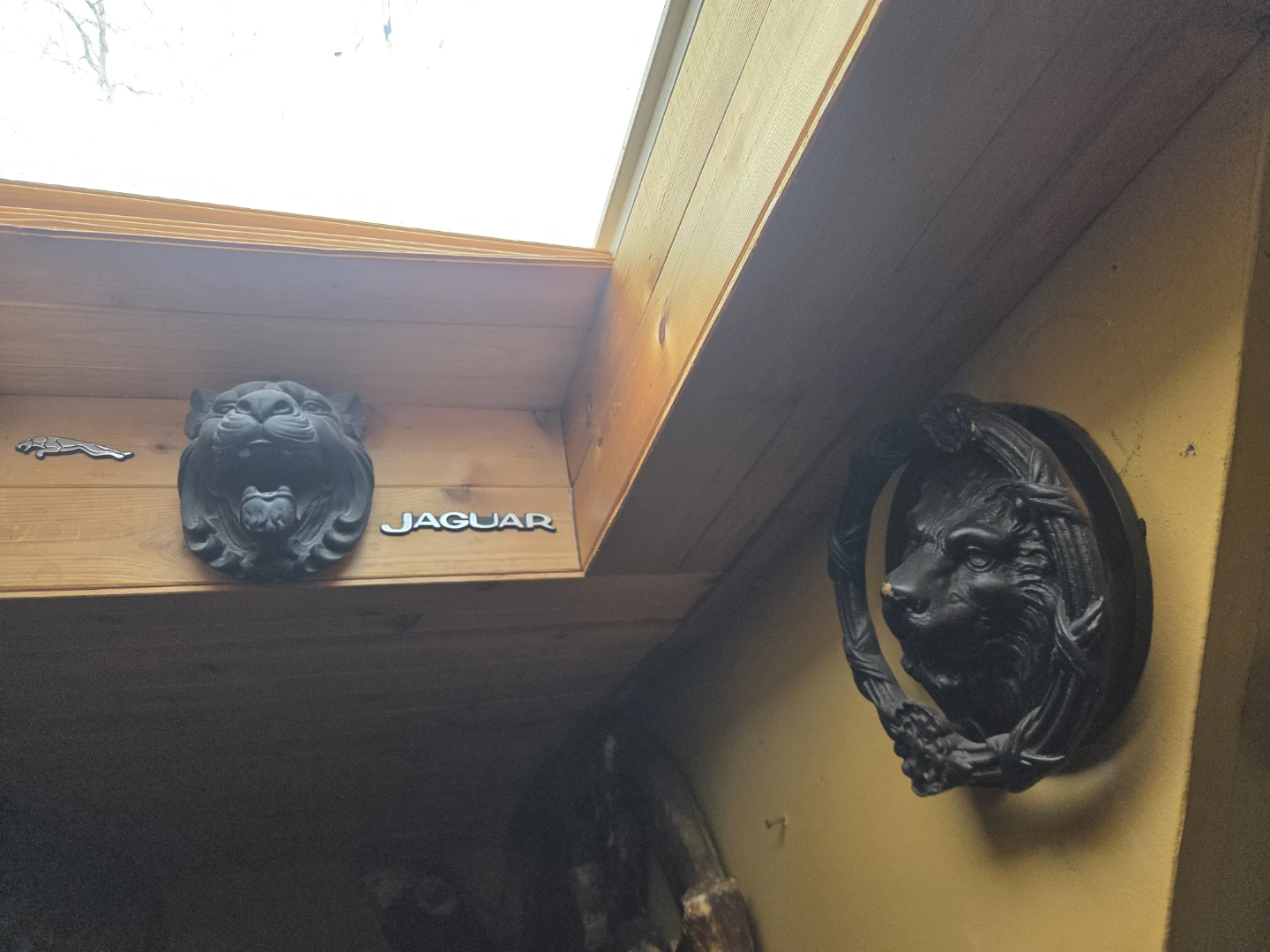 Huge lion jaguar collection for sale - photo 5