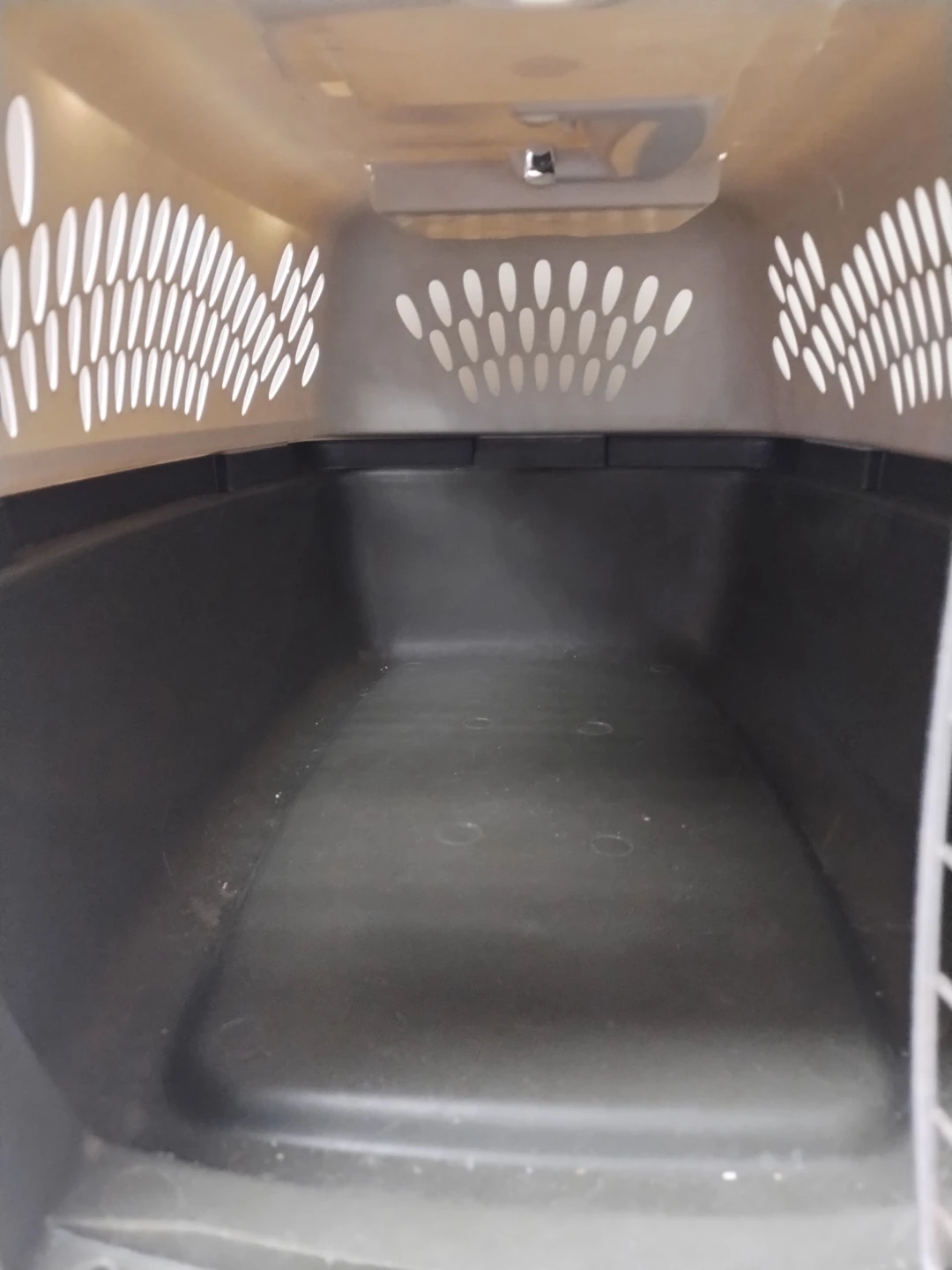 Pet Taxi Pet Carrier - photo 4