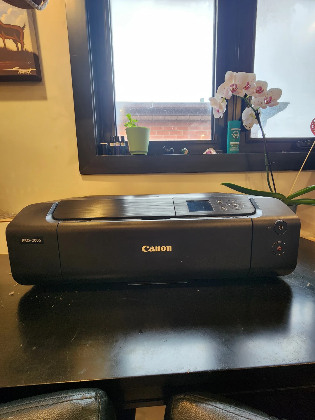 Canon PRO-200S Printer