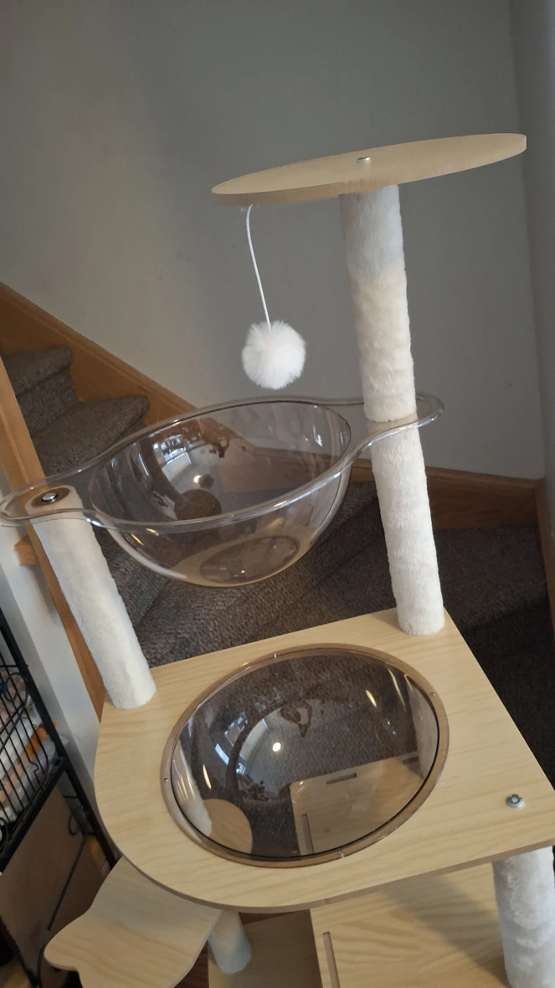 Wooden Cat Tree Condo with bubble pod, toys - photo 4