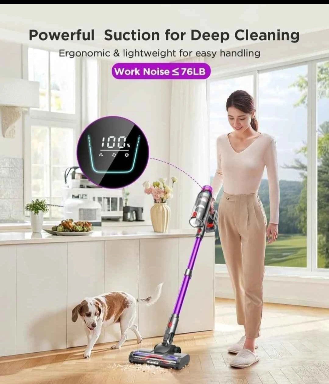 Cordless Stick Vacuum Cleaner TV106S - photo 2