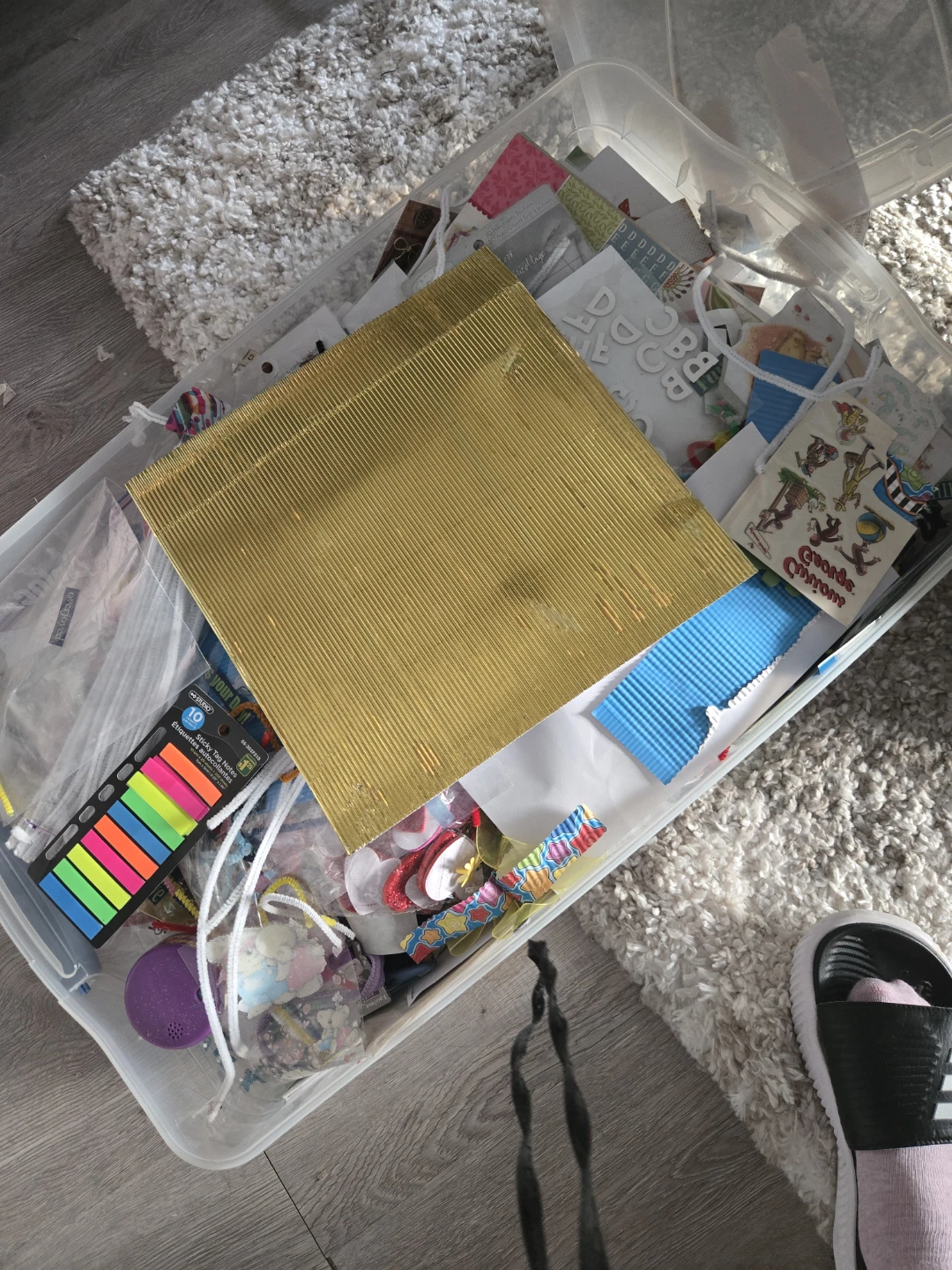 Scrapbooking Paper and Craft Supplies Organizer Case - photo 3