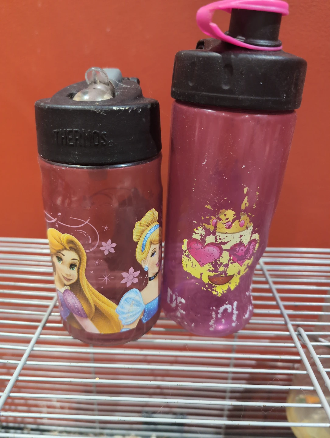 Thermos Disney Princess Water Bottles (2 pack)