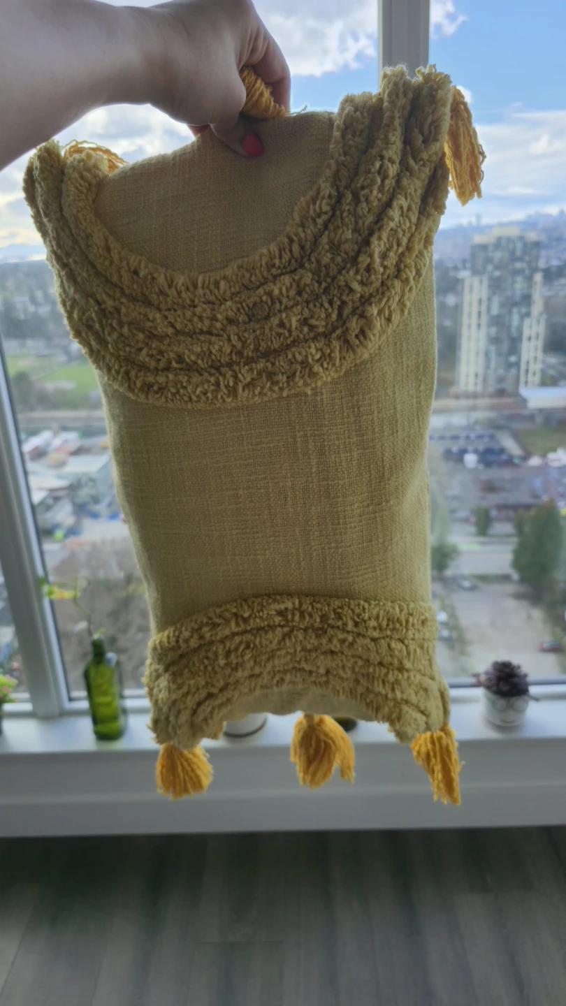 Decorative Throw Pillow $20 each - photo 2