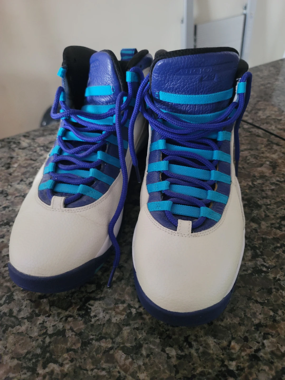 Air Jordan 10 Retro "Charlotte Hornets"