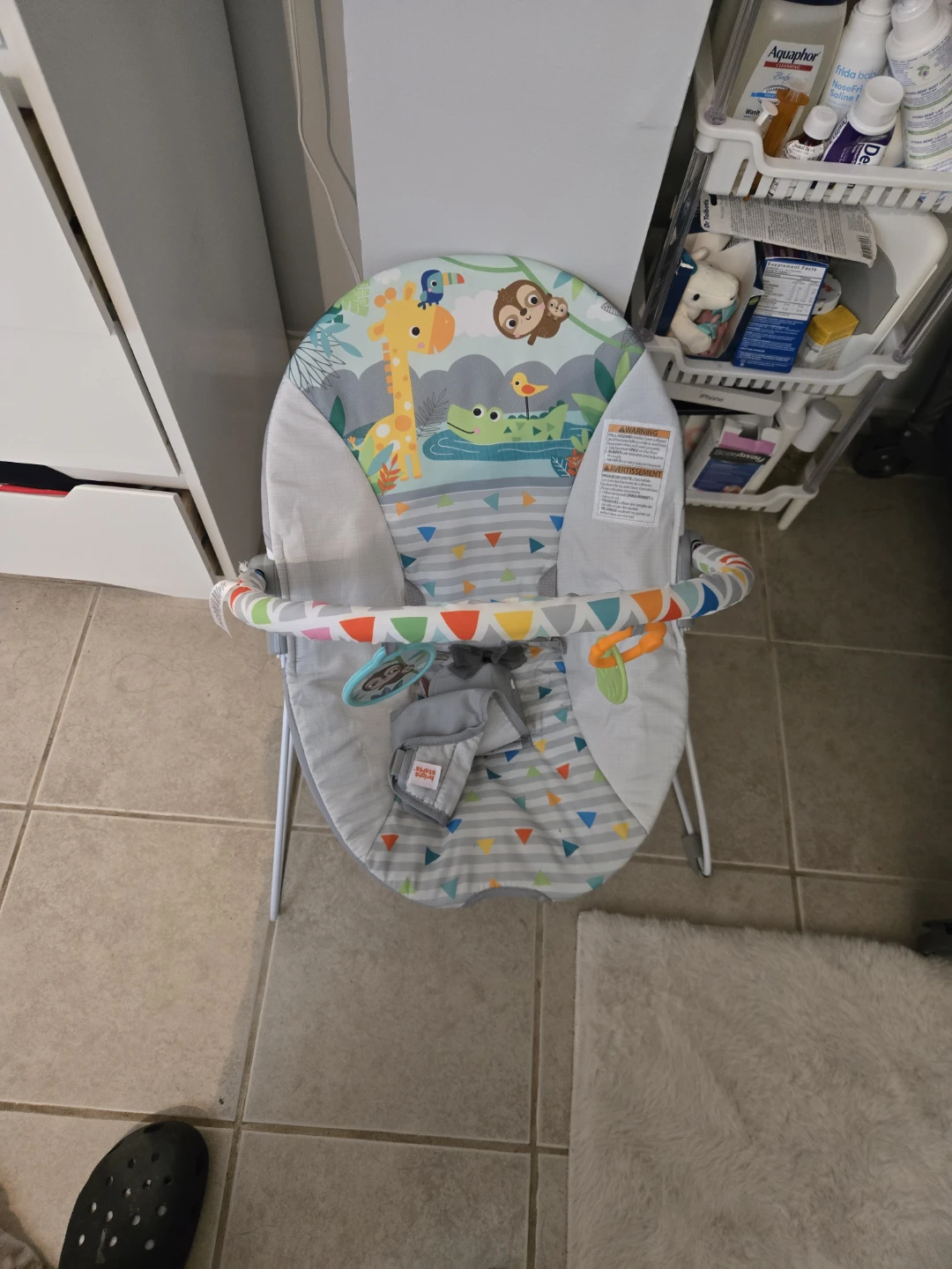 Fisher-Price Baby Bouncer Seat