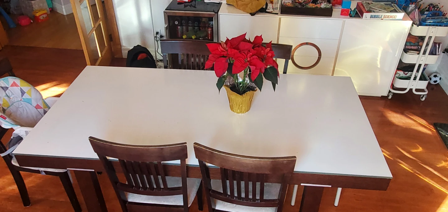 White Dining Table - photo 2