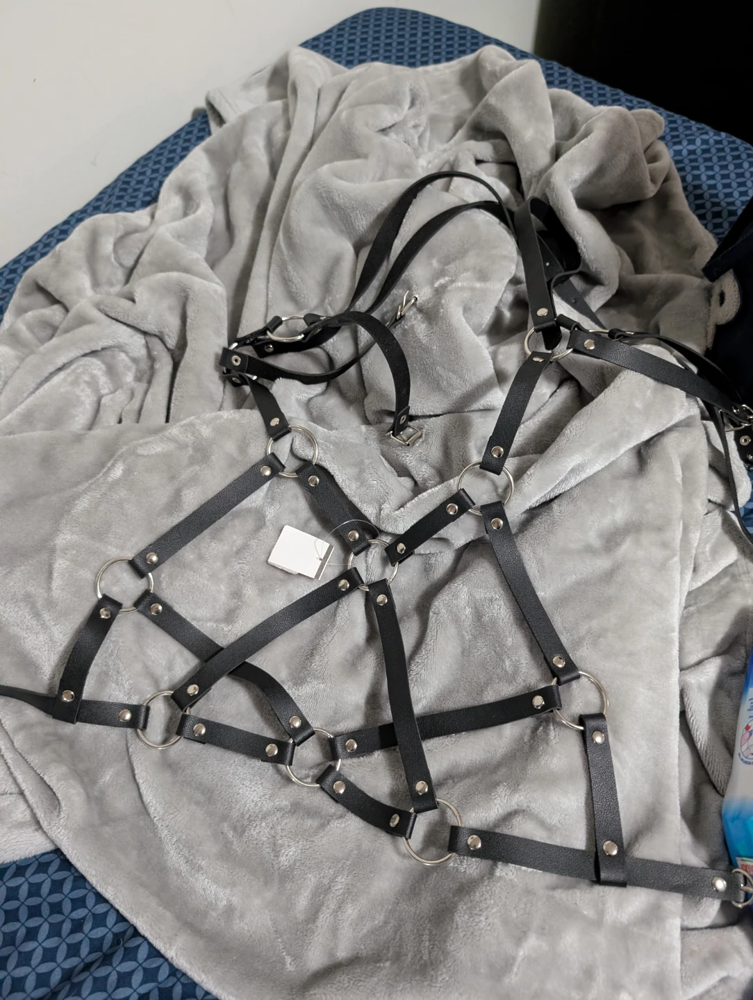 Body Harness