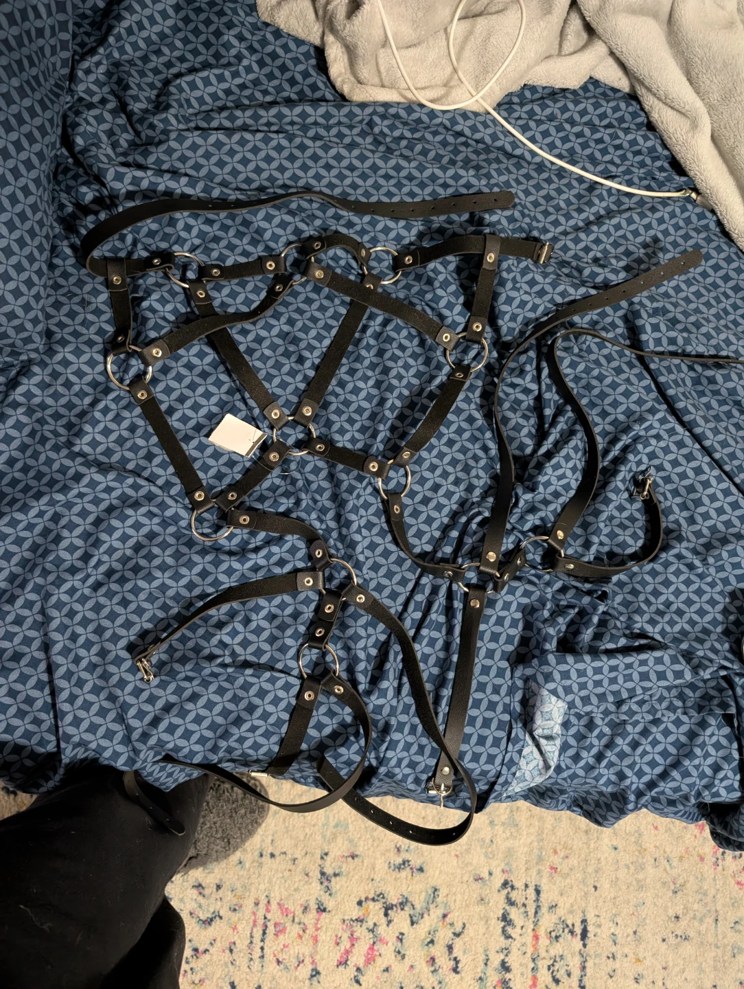 Body Harness - photo 3