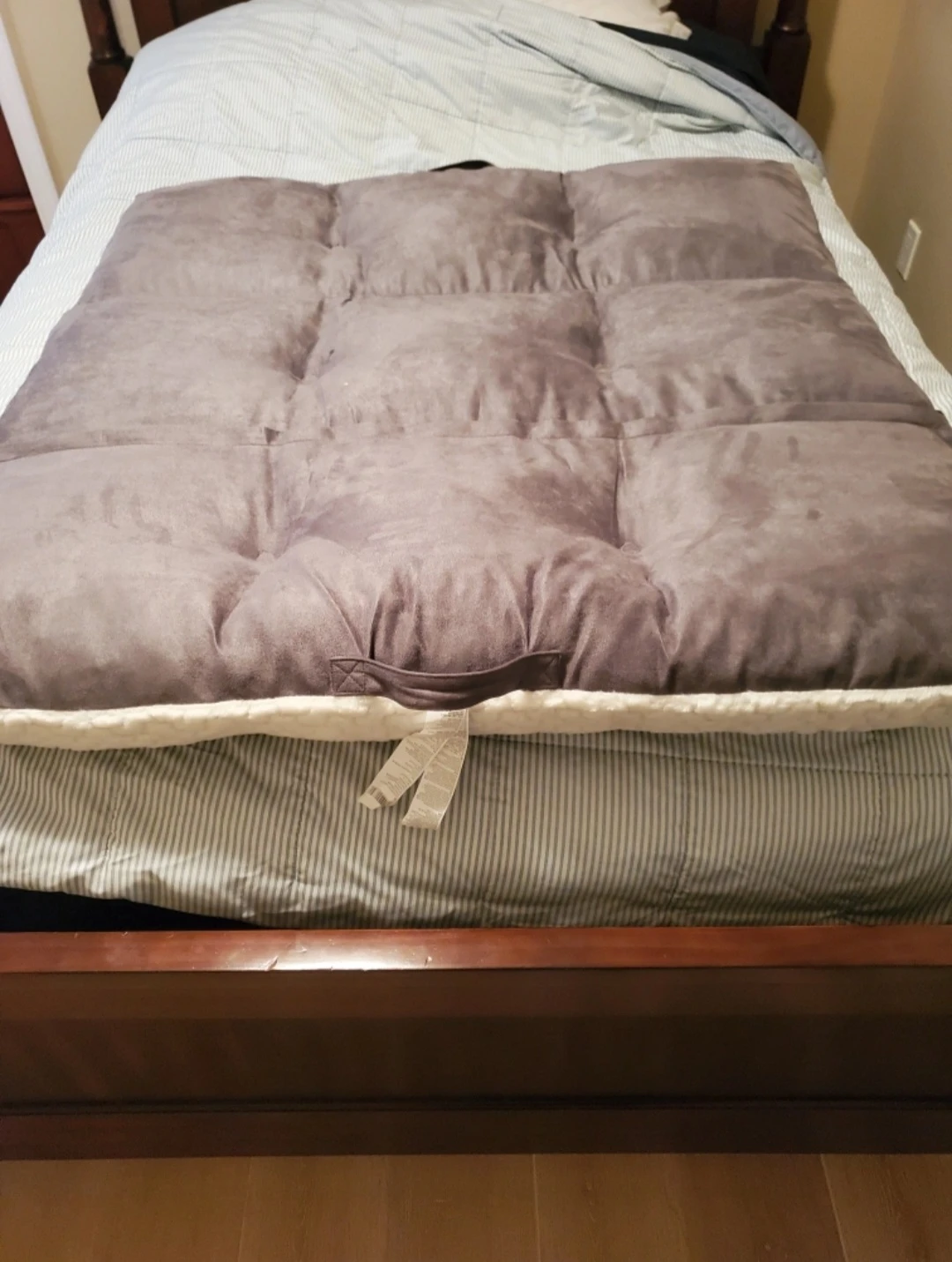 Dog bed by Kirkland. - photo 2