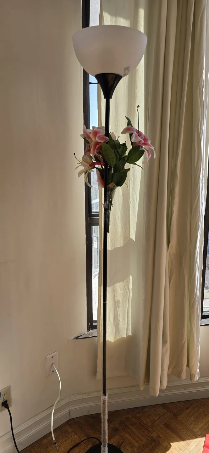 Black Floor Lamp with Frosted Shades