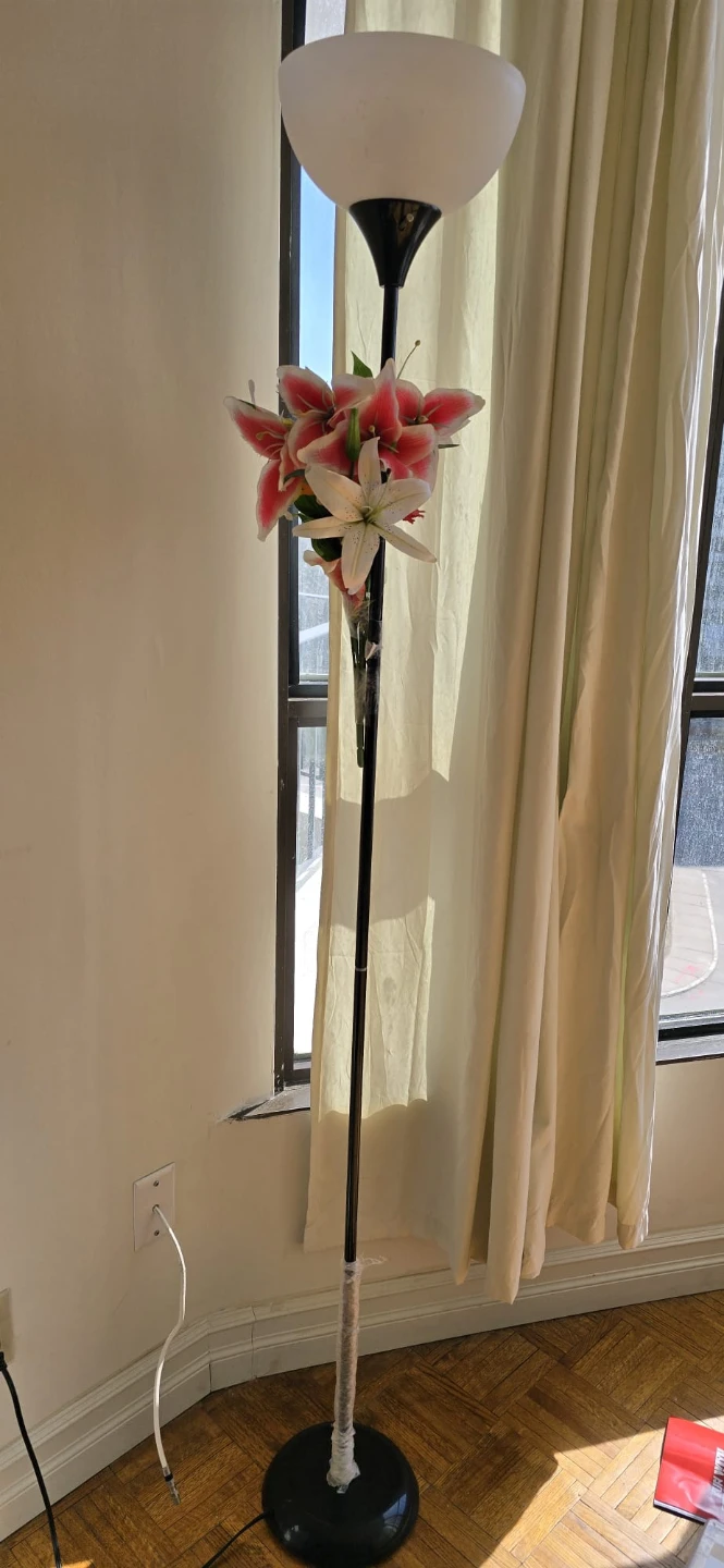 Black Floor Lamp with Frosted Shades - photo 2