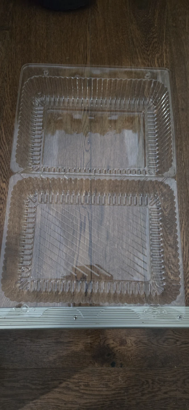 Clear Plastic Rectangular Food Container