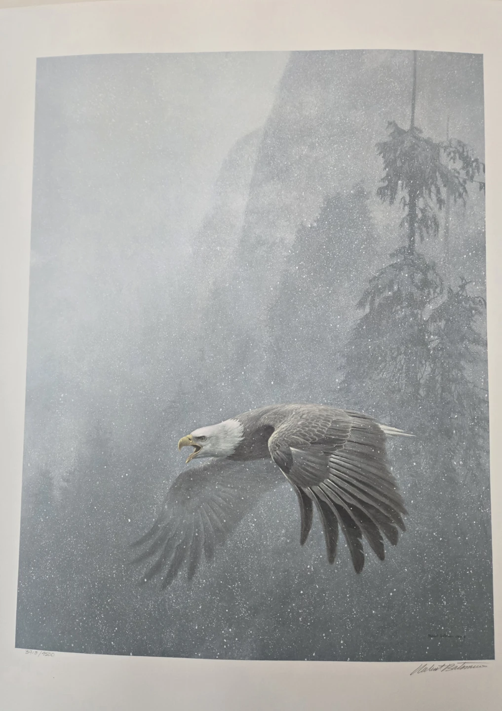 VIGILANCE! A L. E. print, hand-signed by the artist & certified! - photo 2