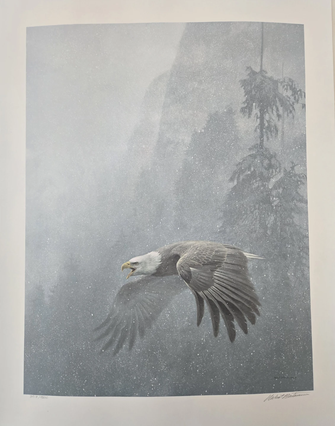 VIGILANCE! A L. E. print, hand-signed by the artist & certified! - photo 4