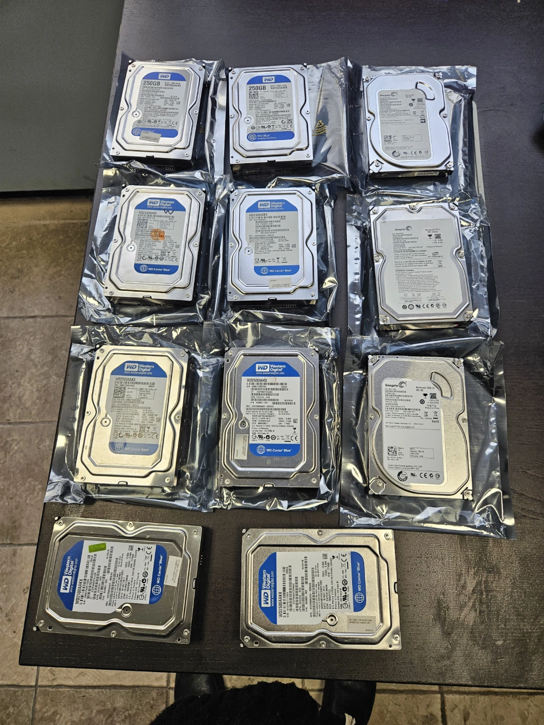 Western Digital 250GB Internal Hard Drives (9 Total)