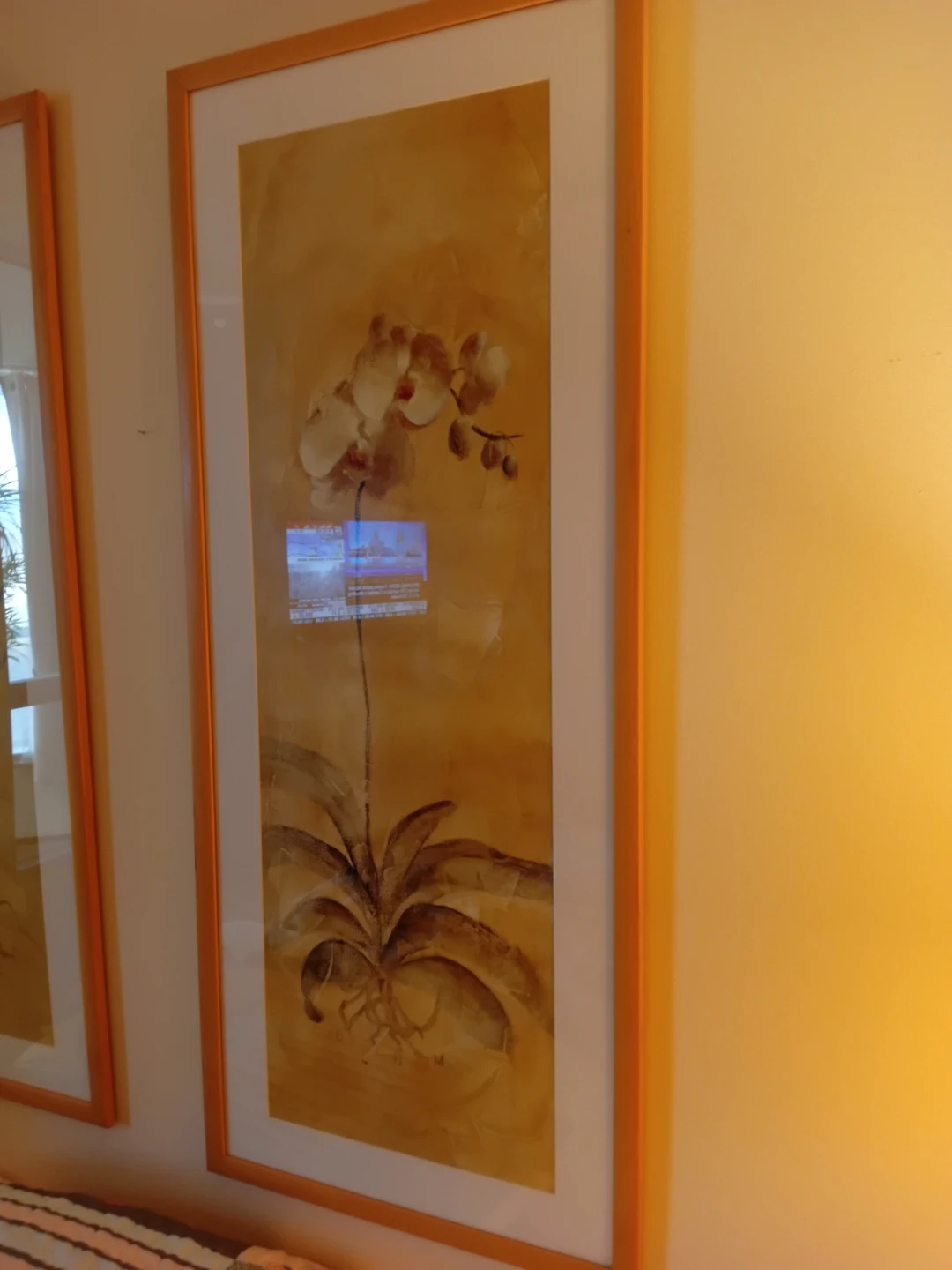 Set of 2 Framed Botanical Prints