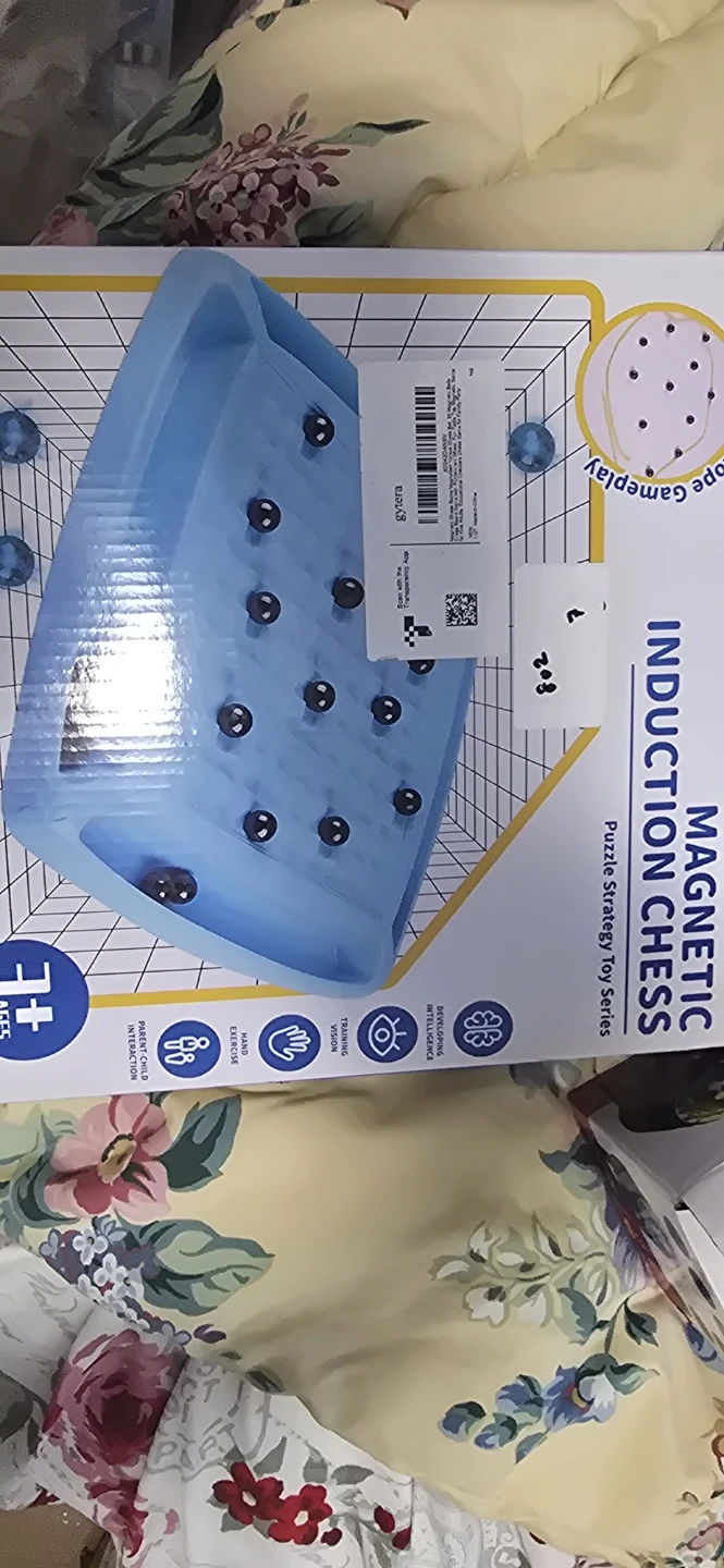Magnetic Induction Chess Game